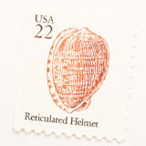 "22 Cent Reticulated Helmet Seashell Postage Stamps // Set of 10 // UNUSED" - Postage Stamps in beige by Flourish Fine Writing