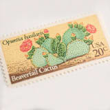 "20 Cent Beavertail Cactus Postage Stamps // Set of 10 // UNUSED Vintage Stamps" - Postage Stamps in green by Flourish Fine Writing