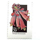 "Trumpet Honeysuckle Postage Stamps | American Wildflower Series | Red Flower | Botanical | Vintage Unused USPS Postage 29c | Pack of 10" - Postage Stamps in red by Heritage Post House