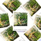 "John James Audubon's "Long-billed Curlew" Postage Stamps | Four Centuries of American Art Series | Vintage Unused USPS Postage 32c | Pack of 10" - Postage Stamps in green by Jennifer Kramer