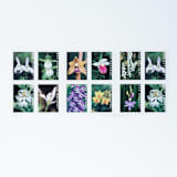 "Beach Postage Collection" - Postage Stamps in multicolorassorted-colors by Little Postage House