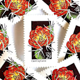 "Claret Cup Cactus Postage Stamps | American Wildflower Series | Red Orange Flower | Botanical | Vintage Unused USPS Postage 29c | Pack of 10" - Postage Stamps in red by Heritage Post House