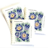 "Pasqueflower Postage Stamps | Mountain Flora Series | Wedding Stamps | Vintage Unused USPS Postage Forever Stamps | Pack of 10" - Postage Stamps in purple by Heritage Post House