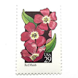 "Red Maids Postage Stamps | American Wildflower Series | Pink Red Flower | Botanical | Vintage Unused USPS Postage 29c | Pack of 10" - Postage Stamps in pink by Heritage Post House