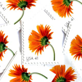 "Orange Gerbera Daisy Postage Stamps | Beautiful Blooms Series | Orange Flowers | Botanical | Wedding Stamps | Vintage Unused USPS Postage 41c | Pack of 10" - Postage Stamps in orange by Heritage Post House