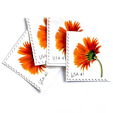 "Orange Gerbera Daisy Postage Stamps | Beautiful Blooms Series | Orange Flowers | Botanical | Wedding Stamps | Vintage Unused USPS Postage 41c | Pack of 10" - Postage Stamps in orange by Heritage Post House
