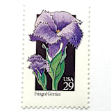 "Fringed Gentian Postage Stamps | American Wildflower Series | Purple Flower | Botanical | Vintage Unused USPS Postage 29c | Pack of 10" - Postage Stamps in purple by Heritage Post House