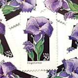"Fringed Gentian Postage Stamps | American Wildflower Series | Purple Flower | Botanical | Vintage Unused USPS Postage 29c | Pack of 10" - Postage Stamps in purple by Heritage Post House
