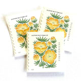 "Alpine Buttercup Postage Stamps | Mountain Flora Series | Wedding Stamps | Vintage Unused USPS Postage Forever Stamps | Pack of 10" - Postage Stamps in yellow by Heritage Post House