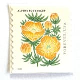 "Alpine Buttercup Postage Stamps | Mountain Flora Series | Wedding Stamps | Vintage Unused USPS Postage Forever Stamps | Pack of 10" - Postage Stamps in yellow by Heritage Post House