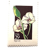 "Sego Lily Postage Stamps | American Wildflower Series | White Flower | Botanical | Wedding Stamps | Vintage Unused USPS Postage 29c | Pack of 10" - Postage Stamps in white by Heritage Post House