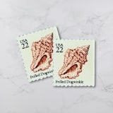 "Frilled Dogwinkle | Vintage Stamp, 22 cents, 1985 | 5 each" - Postage Stamps in beige by The Silver Stamps