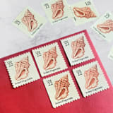 "Frilled Dogwinkle | Vintage Stamp, 22 cents, 1985 | 5 each" - Postage Stamps in beige by The Silver Stamps