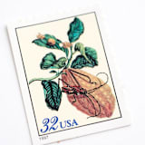 "32 Cent Citron Postage Stamps // Set of 10 // UNUSED Vintage Stamps" - Postage Stamps in beige by Flourish Fine Writing