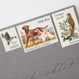 "20 Cent Chesapeake Bay Retriever & Cocker Spaniel Postage Stamps // Set of 10 // UNUSED" - Postage Stamps in beige by Flourish Fine Writing