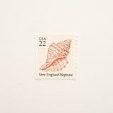 "22 Cent New England Neptune Seashell Postage Stamps // Set of 10 // UNUSED" - Postage Stamps in beige by Flourish Fine Writing