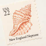 "22 Cent New England Neptune Seashell Postage Stamps // Set of 10 // UNUSED" - Postage Stamps in beige by Flourish Fine Writing