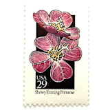 "Showy Evening Primrose Postage Stamps | American Wildflower Series | Purple Flower | Botanical | Vintage Unused USPS Postage 29c | Pack of 10" - Postage Stamps in purple by Heritage Post House
