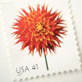 "41 Cent Orange Dahlia Postage Stamps // Set of 10 // UNUSED Vintage Stamps" - Postage Stamps in orange by Flourish Fine Writing