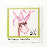 "20 Cent Pacific Calypso Orchid Stamps // Set of 10 // UNUSED Vintage stamps" - Postage Stamps in pink by Flourish Fine Writing