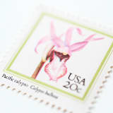 "20 Cent Pacific Calypso Orchid Stamps // Set of 10 // UNUSED Vintage stamps" - Postage Stamps in pink by Flourish Fine Writing