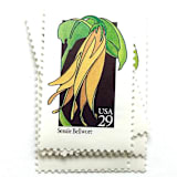 "Sessile Bellwort Postage Stamps | American Wildflower Series | Yellow Flower | Botanical | Vintage Unused USPS Postage 29c | Pack of 10" - Postage Stamps in yellow by Heritage Post House