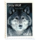 ""Gray Wolf" Postage Stamps | Arctic Animals Series | Unused USPS Postage 33c | Pack of 10" - Postage Stamps in gray by Jennifer Kramer