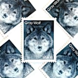 ""Gray Wolf" Postage Stamps | Arctic Animals Series | Unused USPS Postage 33c | Pack of 10" - Postage Stamps in gray by Jennifer Kramer