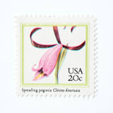 "20 Cent Spreading Pogonia Orchid Postage Stamps // Set of 10 // UNUSED Vintage postage stamps" - Postage Stamps in pink by Flourish Fine Writing