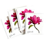 "Magnolia Postage Stamps | Beautiful Blooms Series | Pink Flowers | Vintage Unused USPS Postage 41c | Pack of 10" - Postage Stamps in pink by Heritage Post House