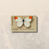 "Butterfly: Orange-Tip | Vintage Stamp, 13 cents, 1977 | 5 each" - Postage Stamps in beige by The Silver Stamps