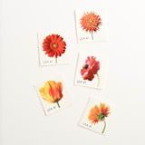 "Frida Kahlo and Georgia O'Keeffe Postage Set // Set of 5 // $1.13 in postage per set" - Postage Stamps in orange by Flourish Fine Writing