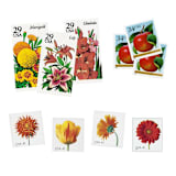 "Apples and Audubon Vintage Postage Set // Set of 5 // $1.41 in postage" - Postage Stamps in red by Flourish Fine Writing
