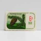 "Vintage Unused Stamps - Pine,  Botanical Collection, 6 cent - Set of 5" - Postage Stamps in multicolor by Tablo Post