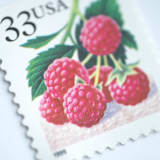 "33 Cent Raspberry Postage Stamps // Set of 10 // UNUSED Vintage Stamps" - Postage Stamps in red by Flourish Fine Writing