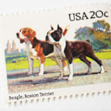 "20 Cent Beagle & Boston Terrier Postage Stamps // Set of 10 // UNUSED" - Postage Stamps in beige by Flourish Fine Writing