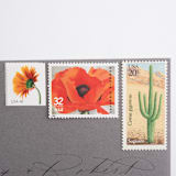 "20 Cent Saguaro Cactus Postage Stamps // Set of 10 // UNUSED Vintage Stamps" - Postage Stamps in green by Flourish Fine Writing