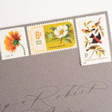 "Orange and Yellow Botanical Postage Set // Set of 5 // $.84 in postage" - Postage Stamps in orange by Flourish Fine Writing