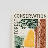 "Vintage Unused Stamps - Forest Conservation, 4 cent - Set of 5" - Postage Stamps in multicolor by Tablo Post