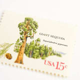 "15 Cent Sequoia Tree Postage Stamps  // Set of 10 // UNUSED vintage postage" - Postage Stamps in green by Flourish Fine Writing