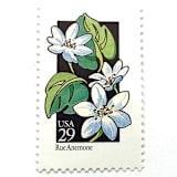 "Rue Anemone Postage Stamps | American Wildflower Series | White Flower | Botanical | Vintage Unused USPS Postage 29c | Pack of 10" - Postage Stamps in white by Heritage Post House