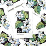 "Rue Anemone Postage Stamps | American Wildflower Series | White Flower | Botanical | Vintage Unused USPS Postage 29c | Pack of 10" - Postage Stamps in white by Heritage Post House