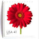 "Red Gerbera Daisy Postage Stamps | Beautiful Blooms Series | Red Flowers | Botanical | Wedding Stamps | Vintage Unused USPS Postage 41c | Pack of 10" - Postage Stamps in red by Heritage Post House
