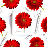 "Red Gerbera Daisy Postage Stamps | Beautiful Blooms Series | Red Flowers | Botanical | Wedding Stamps | Vintage Unused USPS Postage 41c | Pack of 10" - Postage Stamps in red by Heritage Post House