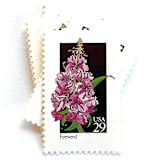 "Fireweed Postage Stamps | American Wildflower Series | Pink Purple Flower | Botanical | Vintage Unused USPS Postage 29c | Pack of 10" - Postage Stamps in pink by Heritage Post House