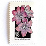 "Round-Lobed Hepatica Postage Stamps | American Wildflower Series | Purple Flower | Botanical | Vintage Unused USPS Postage 29c | Pack of 10" - Postage Stamps in purple by Heritage Post House
