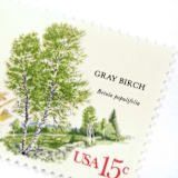 "15 Cent Gray Birch Tree Postage Stamps // Set of 10 // UNUSED Vintage Stamps" - Postage Stamps in green by Flourish Fine Writing