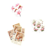 "Lady in the Garden Vintage Postage Set // 5 sets // $1.005  per set" - Postage Stamps in pink by Flourish Fine Writing