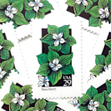 "Bunchberry Postage Stamps | American Wildflower Series | White Green Flower | Botanical | Vintage Unused USPS Postage 29c | Pack of 10" - Postage Stamps in white by Heritage Post House