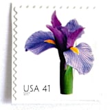"Iris Postage Stamps | Beautiful Blooms Series | Purple Flowers | Botanical | Wedding Stamps | Vintage Unused USPS Postage 41c | Pack of 10" - Postage Stamps in purple by Heritage Post House